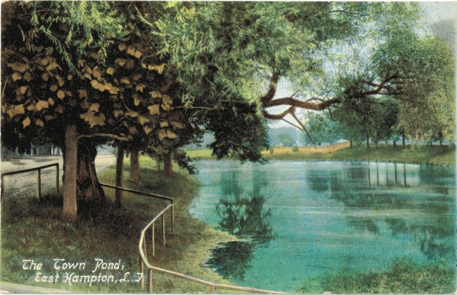 Post Card - Town Pond, West 4892