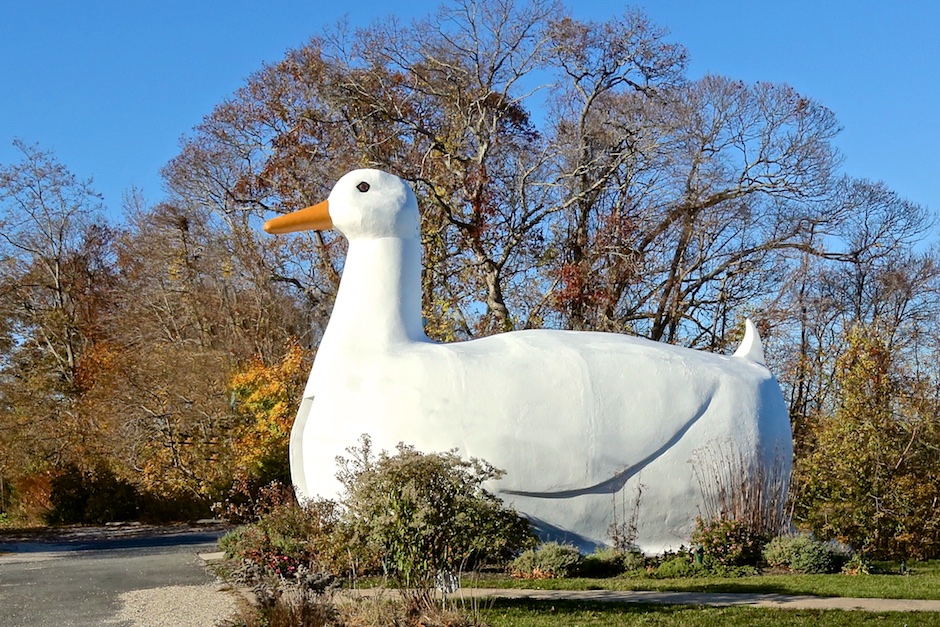Big Duck Profile+ 18984