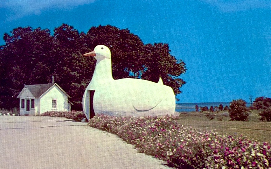 Big Duck postcard 7716
