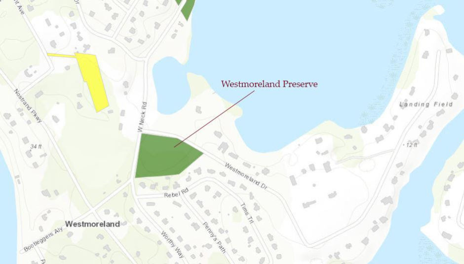 Peconic Land Trust Preserve Spotlight / 2020 Art & Architecture Quarterly