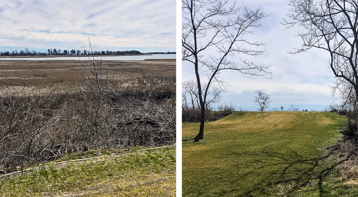 Peconic Land Trust — Townsend Memorial at Edwards Farm Preserve, Orient